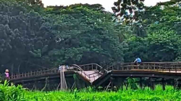 গলাচিপায় ঝূঁকিপূর্ণ পানপট্টি সংযোগ সেতুতে জনদুর্ভোগ