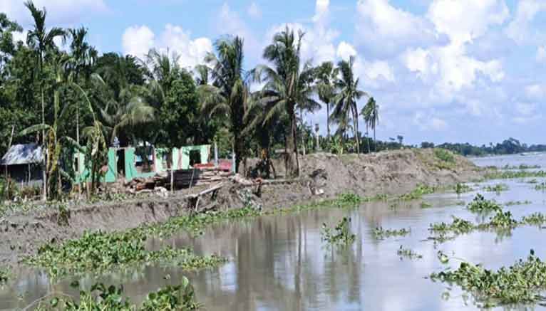 পায়রার ভাঙ্গনে ছোট হচ্ছে মির্জাগঞ্জের মানচিত্র
