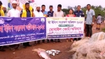 নেছারাবাদে মৎস্য অভিযানে ১০ হাজার মিটার জাল জব্দ
