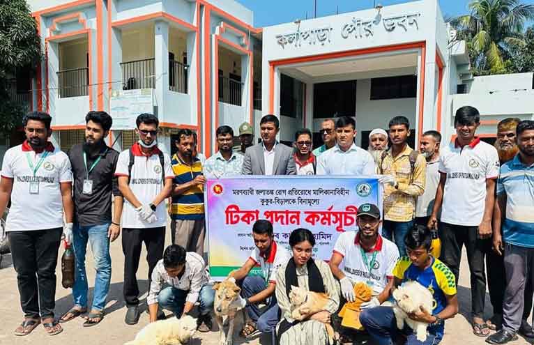 কলাপাড়ায় বেওয়ারিশ কুকুর-বিড়ালকে টিকা প্রদান শুরু