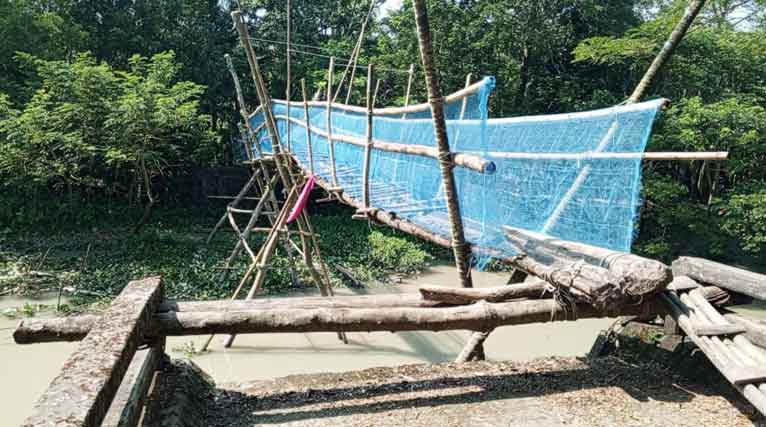 মির্জাগঞ্জে ভাঙা সেতুতে গাছের সাঁকো দিয়ে ঝুঁকিপূর্ণ পারাপার