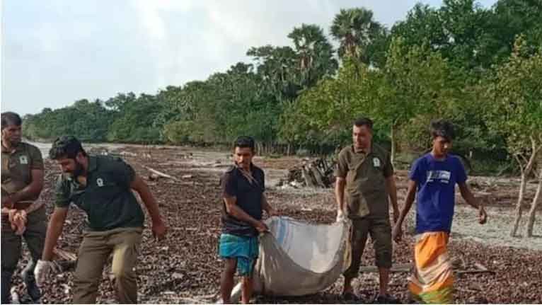 কচিখালী সৈকত থেকে বনবিভাগের প্লাস্টিক বর্জ্য অপসারণ