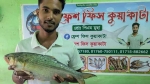কুয়াকাটায় এক ইলিশ বিক্রি হল ৮হাজার ৮শ‘ টাকায়!