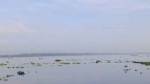 দুমকিতে চোর-পুলিশের খেলা, থামছে না মা-ইলিশ নিধন