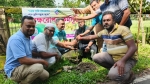 পিরোজপুরে এমিনেন্ট বয়েজের তিনদিনব্যাপী বৃক্ষরোপণ কর্মসূচি সম্পন্ন