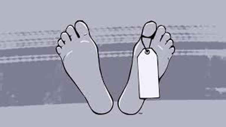 দশমিনায় সুপারি গাছ থেকে পড়ে স্কুলছাত্রের মৃত্যু