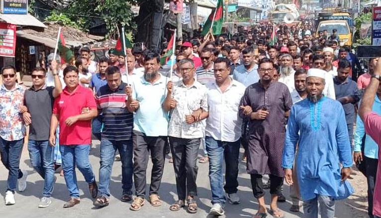 মির্জাগঞ্জে যুবদলের আনন্দ র্যালি ও পথসভা