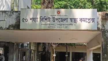 গলাচিপায় সাপে কামড়ে কৃষকের মৃত্যু, আহত দুই নারী