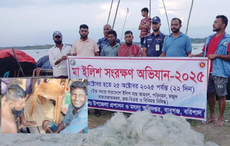 বাবুগঞ্জে নিষেধাজ্ঞা অমান্য করে ইলিশ শিকার, ২ জেলের কারাদণ্ড