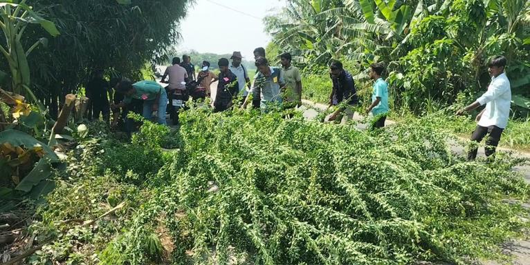 কুয়াকাটা-পটুয়াখালী মহাসড়কের ঝোপ-ঝাড় পরিস্কার করছেন তরুণরা
