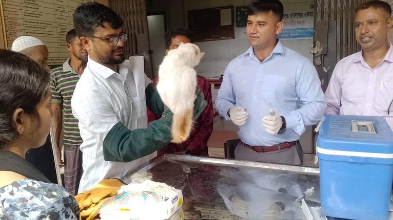 কলাপাড়ায় এবার পোষ্য কুকুর-বিড়ালকে টিকা প্রদান শুরু