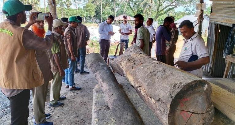 কুয়াকাটায় লাইসেন্সবিহীন করাতকল মালিককে জরিমানা
