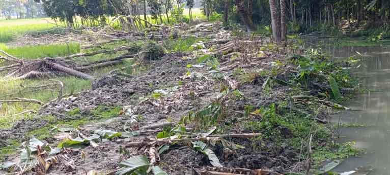 জমি ও রাস্তার বিরোধে প্রতিপক্ষের কলাবাগান কেটে সাফ