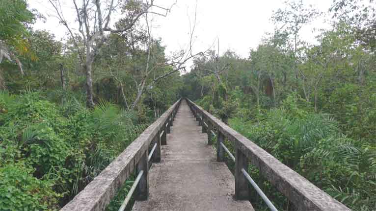 সুন্দরবনে খুলছে নতুন পর্যটন কেন্দ্র ‘আলীবান্দা’