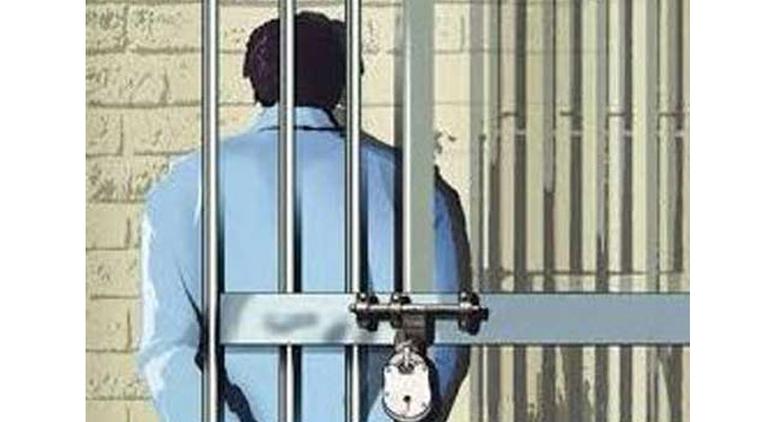 আদালতে মিথ্যা সাক্ষ্য: বাদি ও আসামিকে জেল হাজতে প্রেরণের নির্দেশ