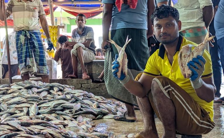 আলীপুর-মহিপুর মৎস্য বন্দর জাটকায় সয়লাব, অভিযান শুধু সড়কে!