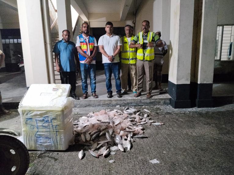 ৫০ কেজিসহ আটক ১ কুয়াকাটা জাটকা শিকার ও বিপননে অভিযান শুরু