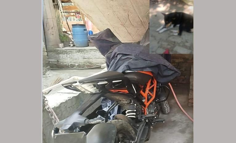 সিসিটিভিতে ধরা পড়ল চুরির চেষ্টা, আহত প্রভুভক্ত কুকুর