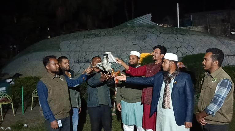 কুয়াকাটায় মুরগির দোকান থেকে আহত নিশি বক উদ্ধার ও অবমুক্ত