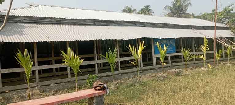 নাজিরপুরের পদ্মডুবি মডেল স্কুল অস্তিত্ব সংকটে