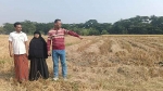 মহিপুরে বিধবার জমির ধান কেটে নেওয়ার অভিযোগ