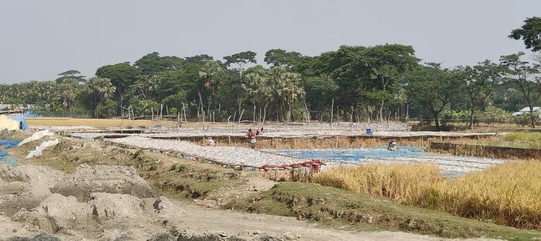 কুয়াকাটার আবাসিক এলাকায় শুঁটকি গন্ধে অতিষ্ঠ স্থানীয়রা ও পর্যটক