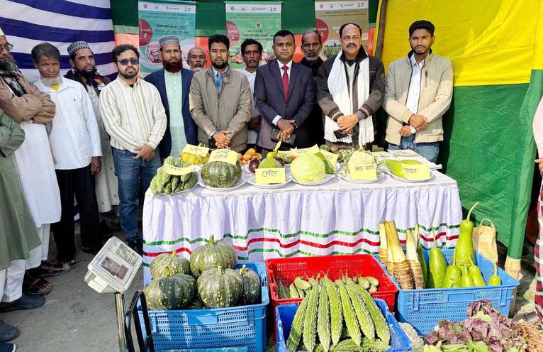 বিজয় দিবসের মেলায় মির্জাগঞ্জে কৃষকদের বিষমুক্ত সবজির হাটে দারুণ সাড়া