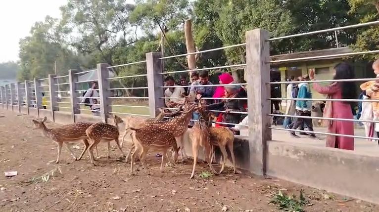 সুন্দরবনের বিভিন্ন পর্যটন কেন্দ্রে বেড়েছে পর্যটকের ভিড়।