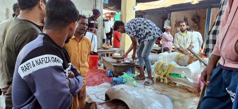 ইন্দুরকানীতে নিষিদ্ধ শাপলা পাতা মাছ বিক্রির অপরাধে জরিমানা