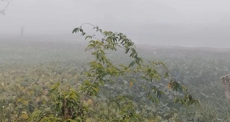 কলাপাড়ায় হিম বাতাসে জনজীবনে চরম দুর্ভোগ