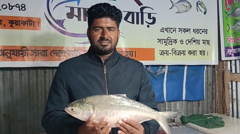 কুয়াকাটায় দেড় কেজির ইলিশ বিক্রি সাড়ে পাঁচ হাজার টাকায়