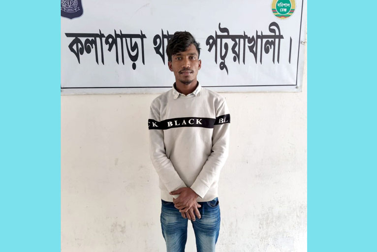 কলাপাড়ায় চোরাই গরুর মাংস বিক্রি, কৃষক দলনেতার বিরুদ্ধে মামলা