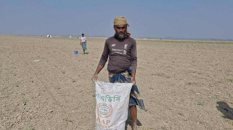হুমকিতে দীর্ঘমেয়াদি কৃষি উৎপাদন, অতিরিক্ত রাসায়নিক সারে বিপন্ন বাউফলের চরাঞ্চলের মাটি