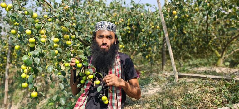 বাউফলে জৈব পদ্ধতিতে বরই চাষে আবু জাফরের সাফল্য