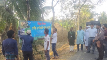 কলাপাড়ায় শিক্ষকের বাড়ি ঘোষণা ‘পাখির অভয়াশ্রম’