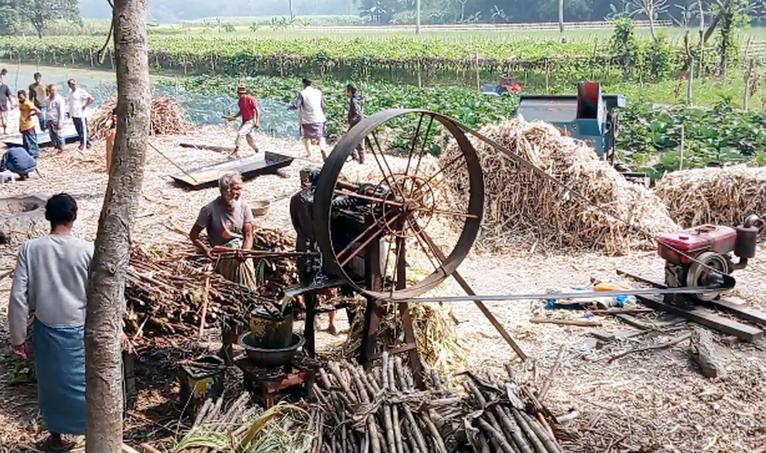 রমজানকে সামনে রেখে বাবুগঞ্জে আখের গুড় তৈরিতে ব্যস্ত চাষিরা