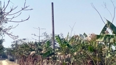 <small>কাগজে শতভাগ বিদ্যুৎ </small> কলাপাড়ায় কেরোসিন বাতির ভরসায় শতাধিক পরিবার