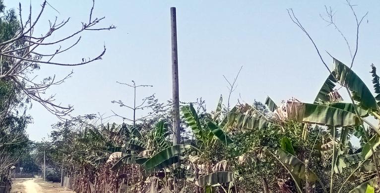 কাগজে শতভাগ বিদ্যুৎ,কলাপাড়ায় কেরোসিন বাতির ভরসায় শতাধিক পরিবার