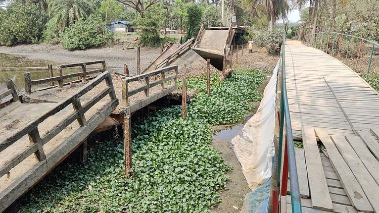 কুয়াকাটায় ভেঙে পড়া ব্রিজ দুই বছরেও অপসারণ হয়নি, ঝুঁকিতে পারাপার