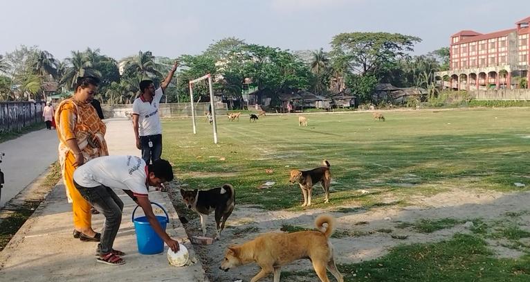 কলাপাড়ায় প্রিয় পোষ্য ‘স্যান্ডি’র স্মরণে ৫০০ পথ কুকুরকে খাবার বিতরণ