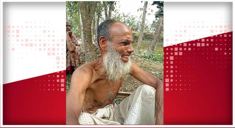 বাউফলে কৃষকের গোয়ালঘর থেকে ৪টি গরু চুরি