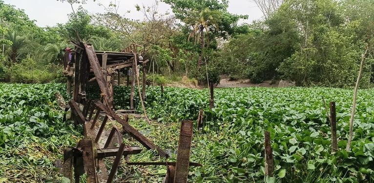 তালতলীতে ব্রিজ ধস: আহত ২, যোগাযোগ বিচ্ছিন্ন ১৫ হাজার মানুষ