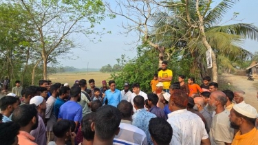 কলাপাড়ায় মহিষের লড়াই ঠেকালো প্রশাসন