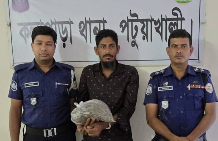 কলাপাড়ায় আধা কেজি গাঁজাসহ মাদককারবারি আটক