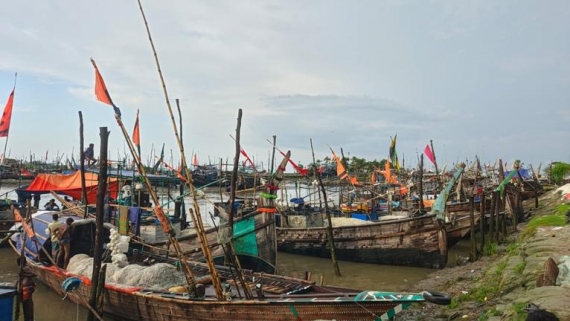 নিষেধাজ্ঞা শেষে মধ্যরাতে মেঘনা-তেঁতুলিয়ায় নামলেন চরফ্যাশনের জেলেরা