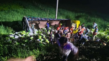 কুমিল্লার দাউদকান্দিতে চালবোঝাই ট্রাক খাদে, নিহত ৭