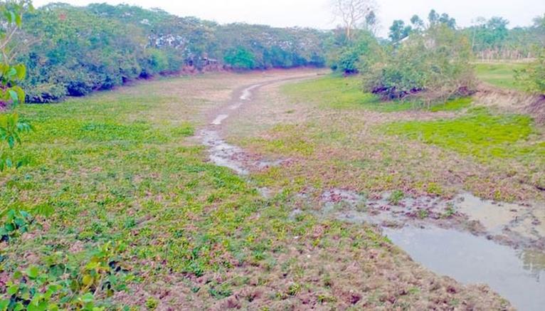 কলাপাড়ার নাওভাঙা খাল ইজারা ঘিরে সেচ সংকটের শঙ্কা, উদ্বেগে শতাধিক কৃষক পরিবার