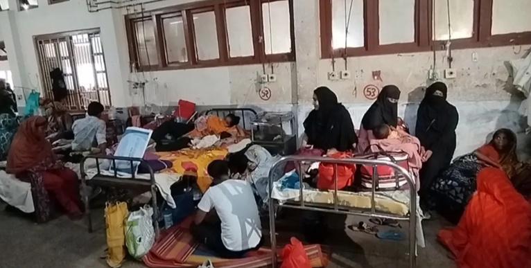 ছবি সংগৃহীত