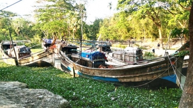 ভাণ্ডারিয়ায় ইলিশহীন বৈশাখ: বাস্তবতার চাপে বদলাচ্ছে উৎসবের চিত্র