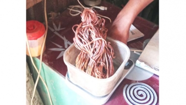 ভাণ্ডারিয়ায় চুরির দৌরাত্ম্য বৃদ্ধি, আতঙ্কে নির্ঘুম রাত এলাকাবাসীর